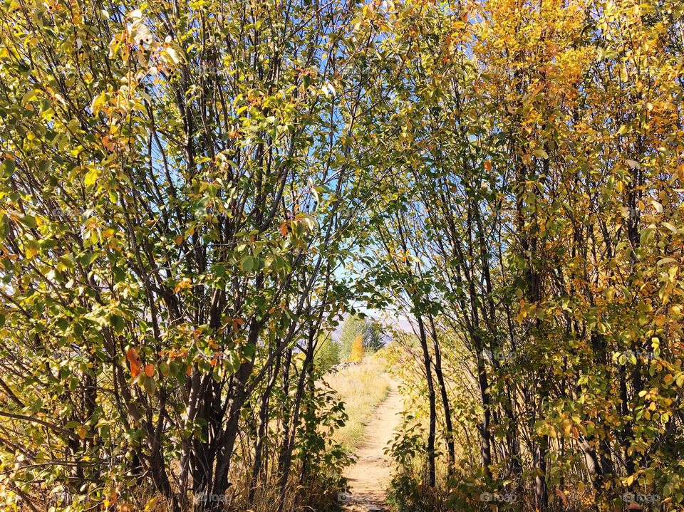 Beautiful fall morning 