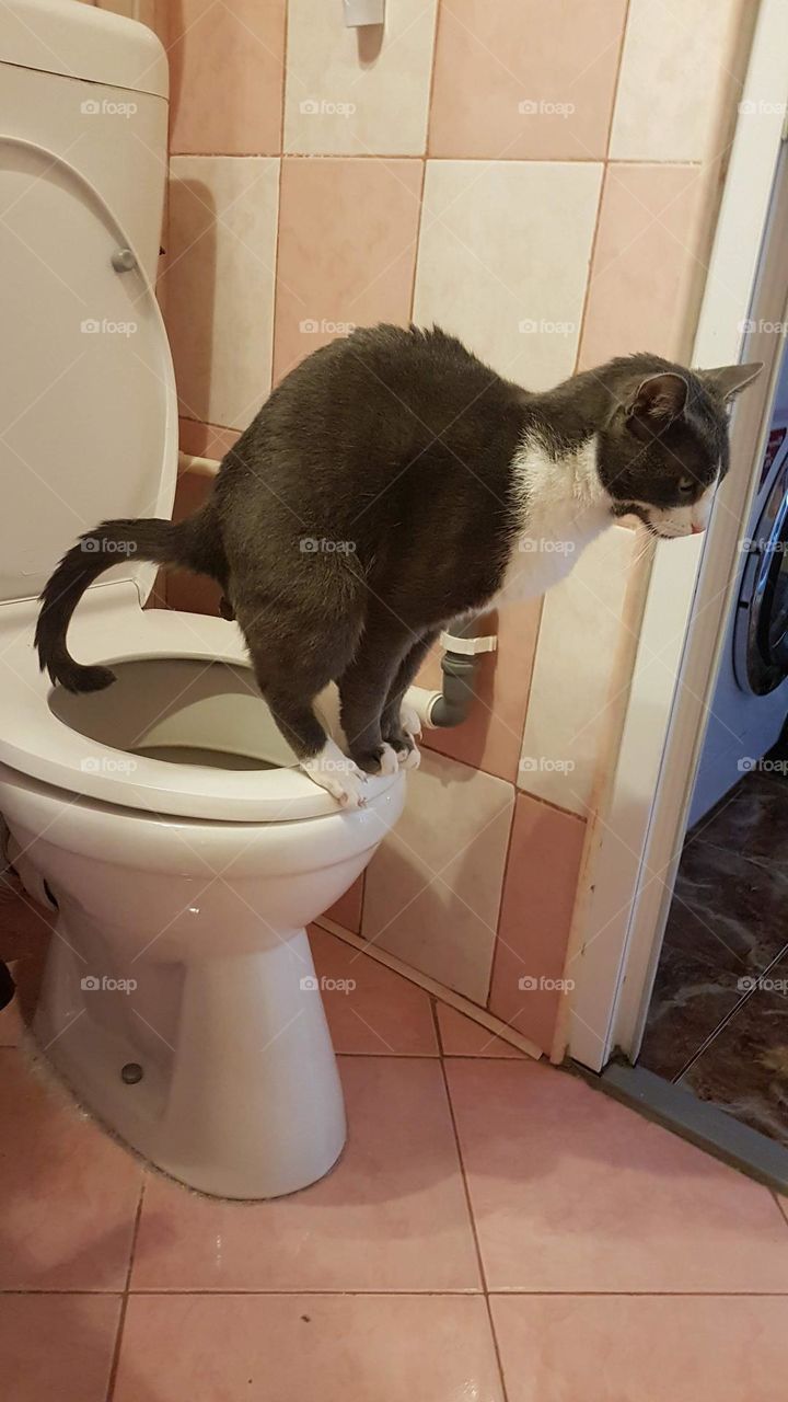 Felix, doing the "toilet work". #education