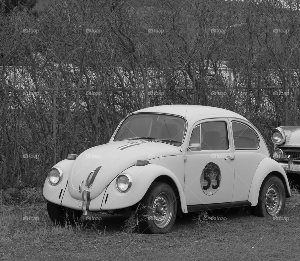 A Love Bug style Volkswagen Bug retired and rusting away in Prineville, Oregon. 