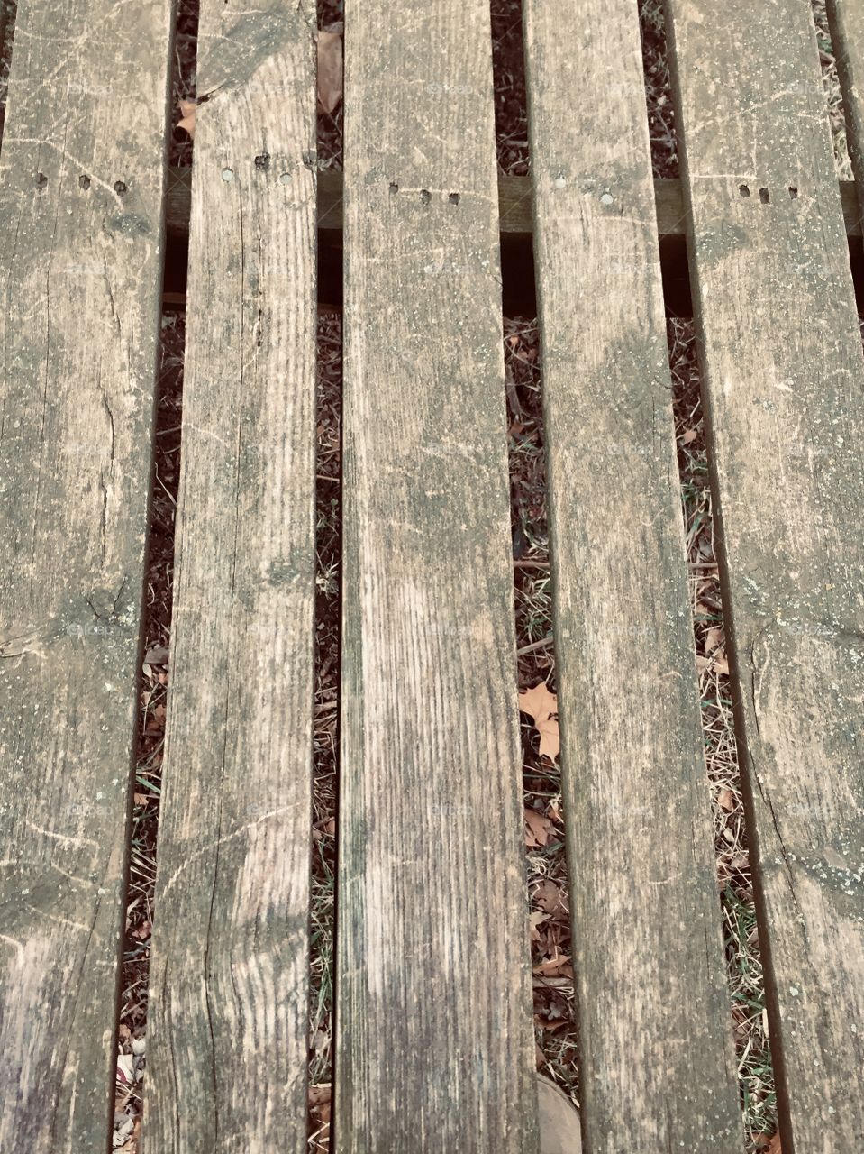 I thought the leaves on the ground looked so interesting behind the slats of the swing.