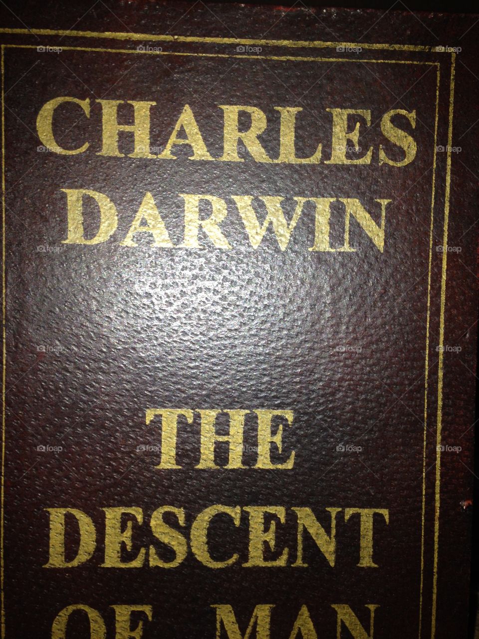 Reading and learning 