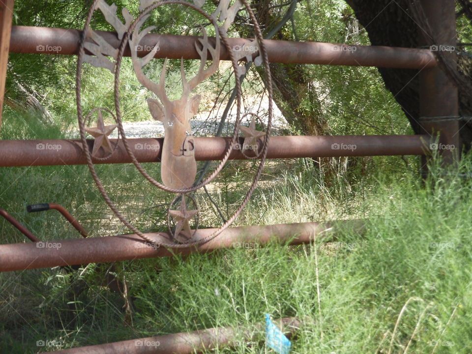 Joe deer. This is a picture I took of a deer sign located in front of a Texas ranch. 👣 🚶 🏃 🔥 💨