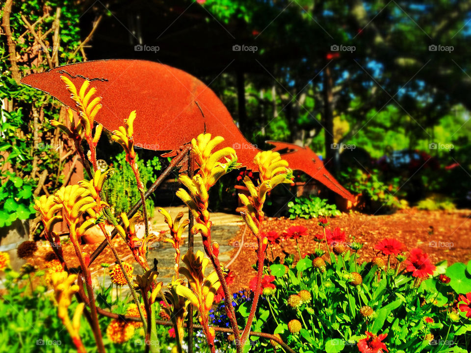 California bright summer garden with flowers and rusty iron decoration