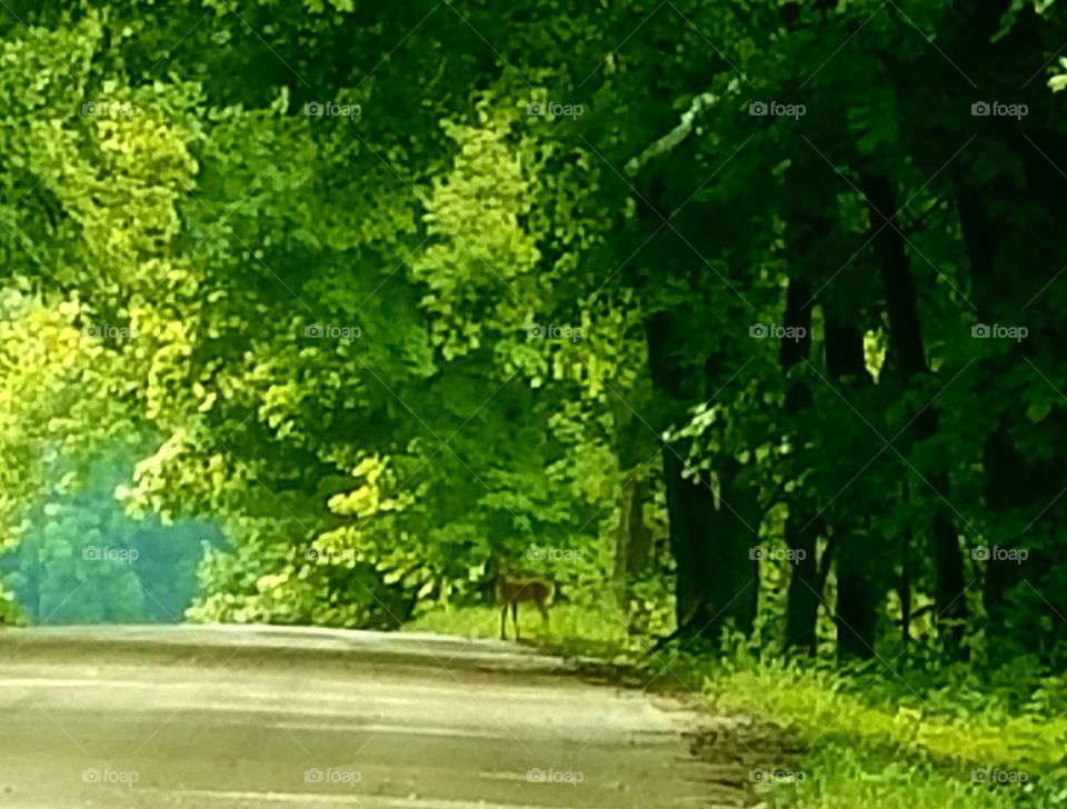 Driving the Back Roads and enjoying everything around us