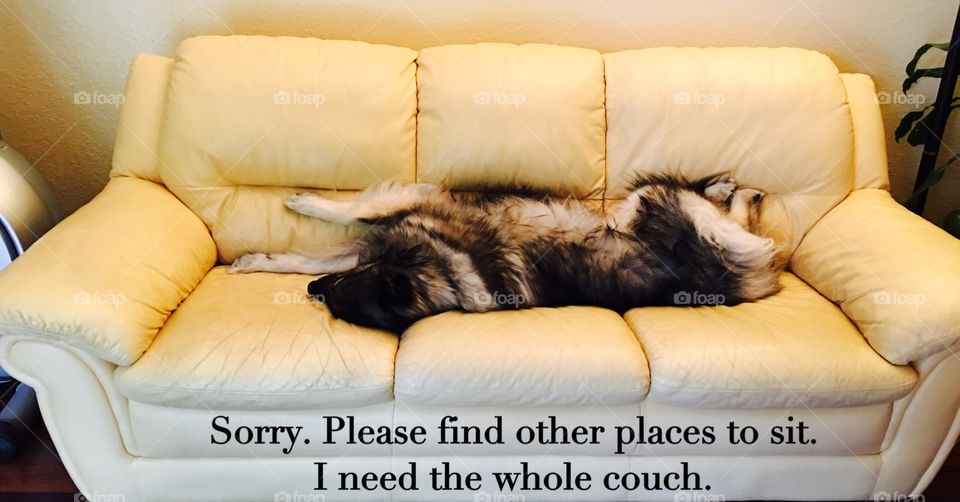 Couch snatcher