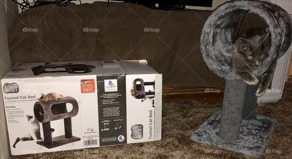 She likes her new toy