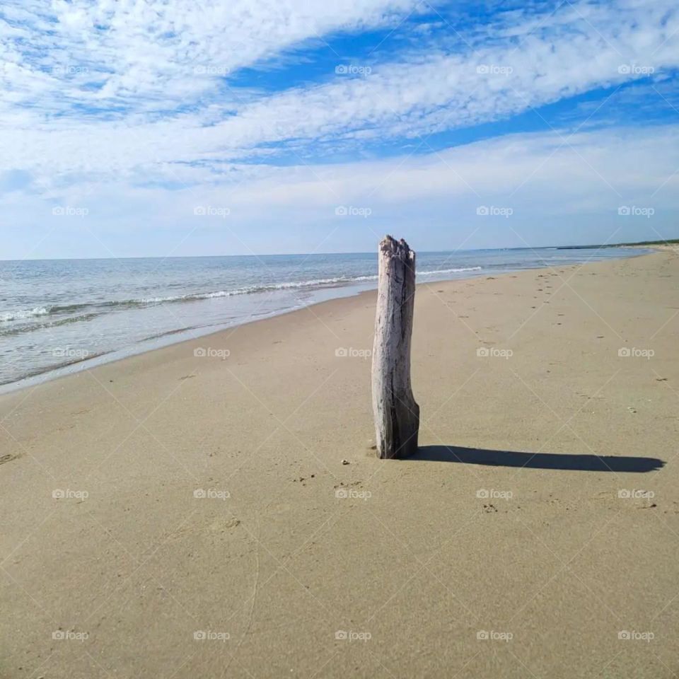 Portrait of a log sticking out of the sand on a deserted beach with blue sky and white clouds