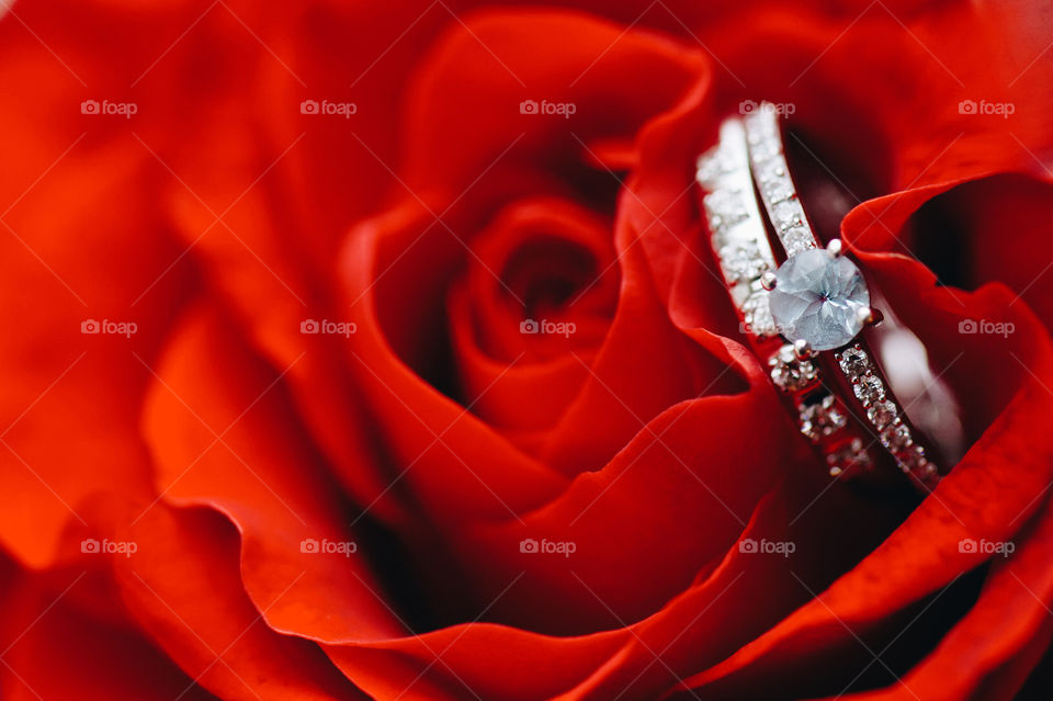 wedding, marriage, engagement, groom, bride, couple, couple, wedding dress, wedding bouquet, bouquet, spring, flowers, flower, bloom, ring, rings, wedding rings, cake, wedding cake, celebration, holiday, celebration, Banquet, restaurant, married, tiara, makeup, hairstyle, veil, white, bride's morning, Breakfast, anniversary, celebration, celebrate, luxury, VIP, glam, glamour, celebrities, rose, coffee, cappuccino, love, faith, hope, passion, romance, beautiful, beauty, happiness, happy, perfumes, perfume, fragrance, freshness, glitter, chic, happiness, fun, smile, laugh, hug, Paris, France, French, elegant, sophisticated , style, fashion , corset, manicure, beige, cream, beige, cream, diamond, pendant, jewelry, angel, angels, holding hands, vintage, retro, strip, Eiffel, Eiffel , blue, gold, pearls, silver, ceremony , marriage ceremony, tender, touching, sensual, red, wine, car, Bentley, Bible, skin, care, garter, Orchid, Bridal salon, inspiration,