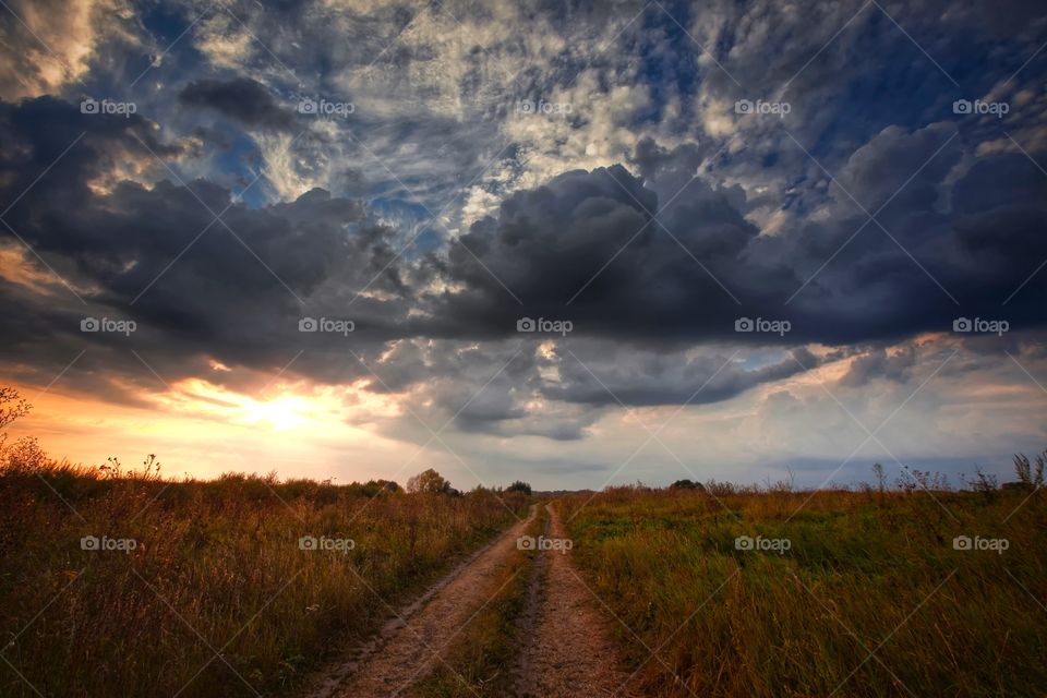 Summer landscape at cloudy day