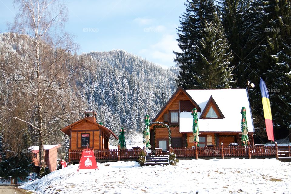 Spring in Poiana Brasov, Romania