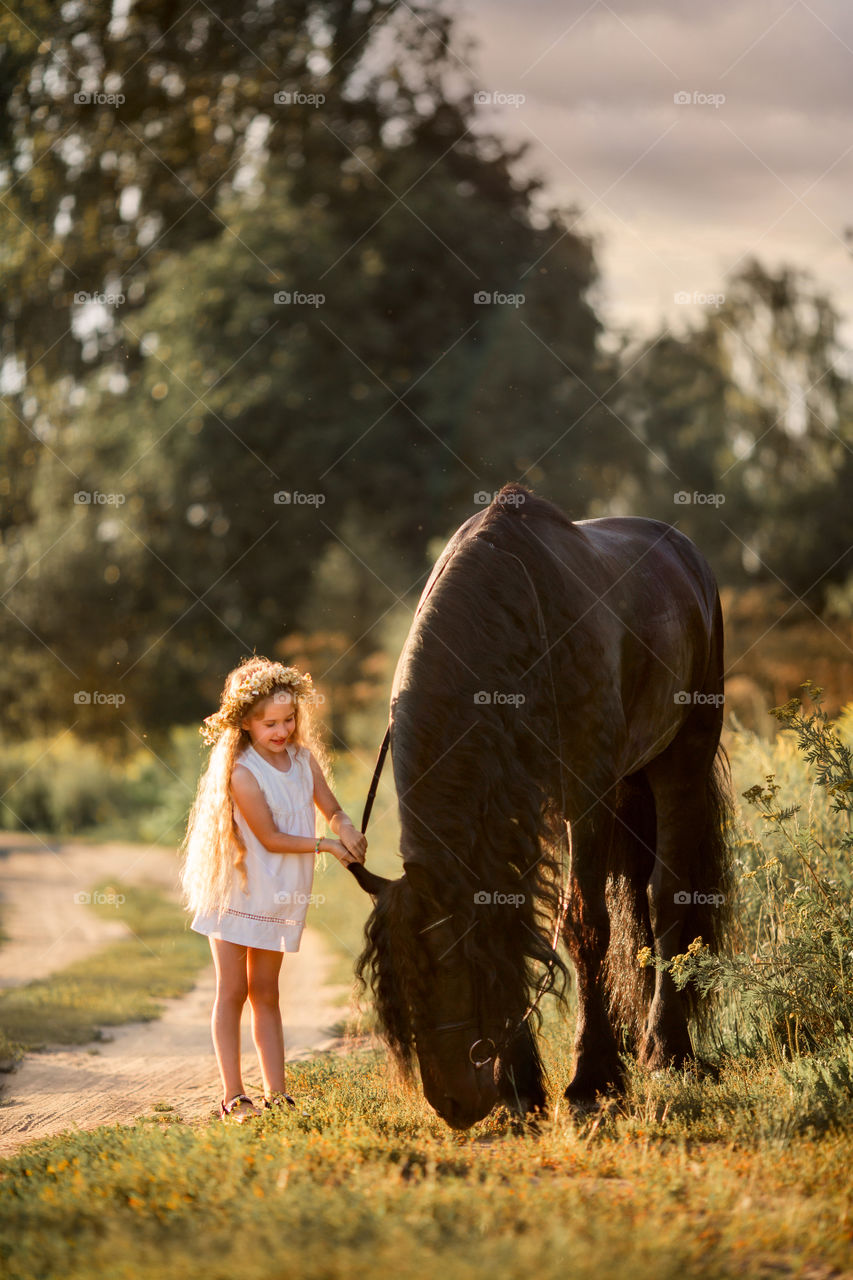 Little girl with black fresian stallion in summer evening 