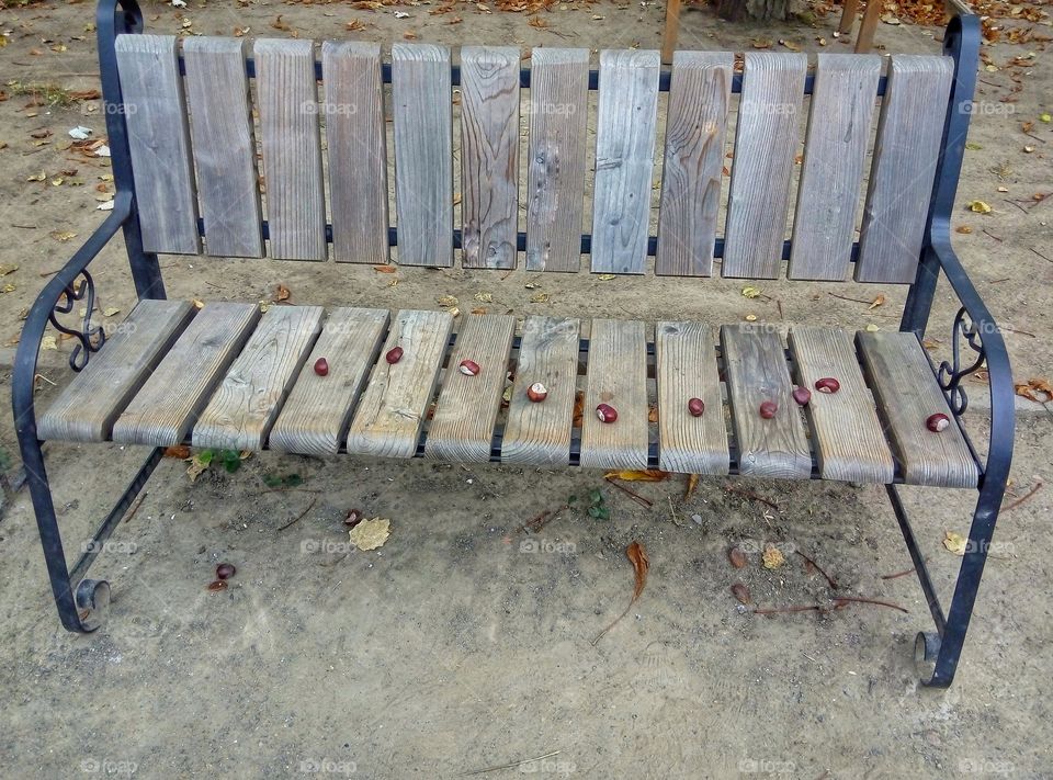 bench with chestnuts скамейка с каштанами