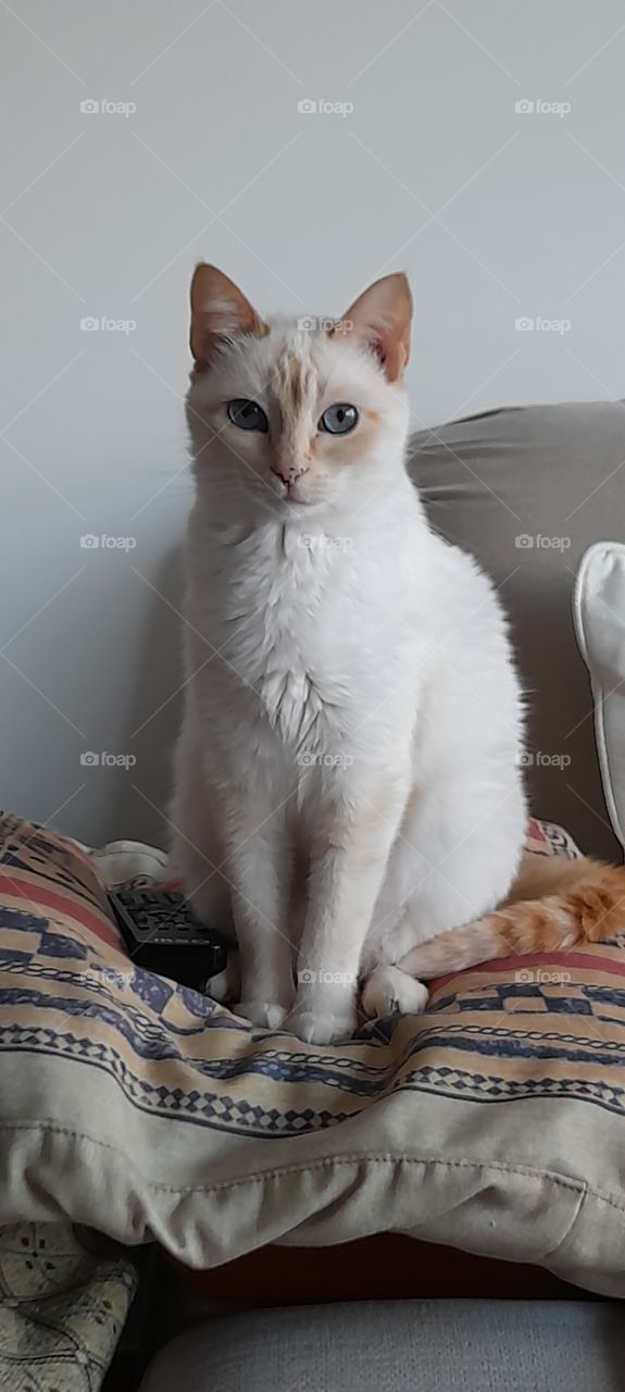 Yes I know that I'm a princess