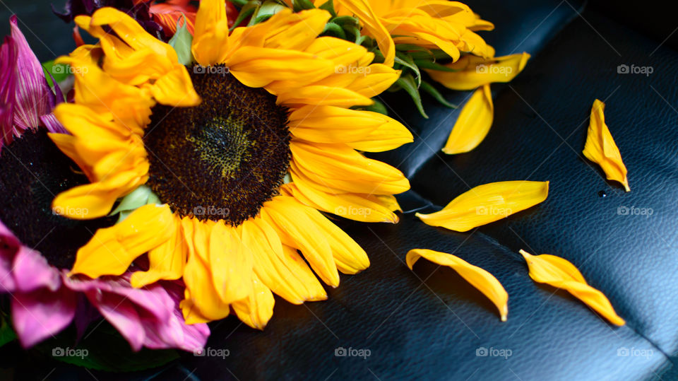 Closeup of vibrant yellow sunflower bouquet in basket with petals floral art photography still life 