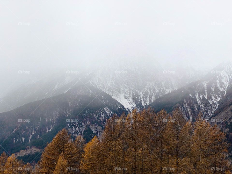 foggy morning in mountains in winter