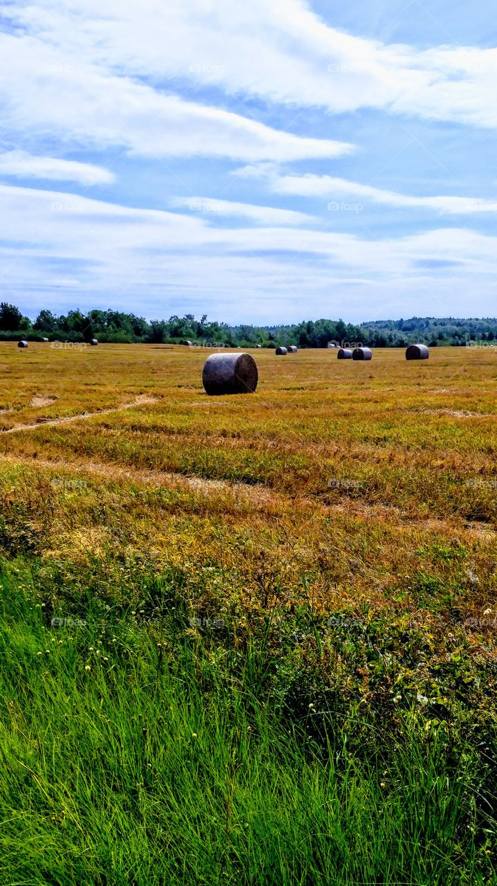haybails