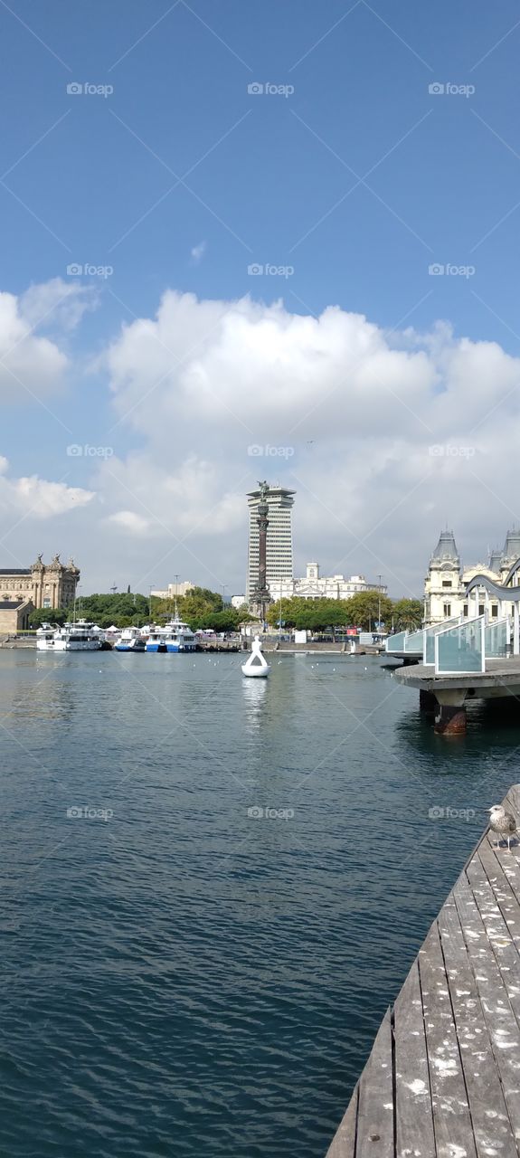 estatua de Cristóbal Colón