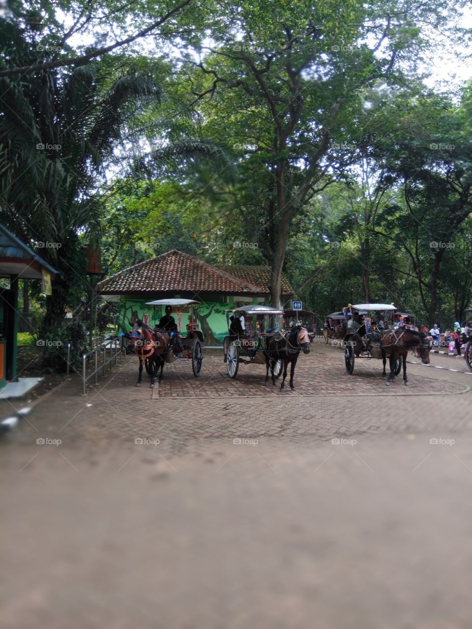 People, Road, Daylight, Group, Travel