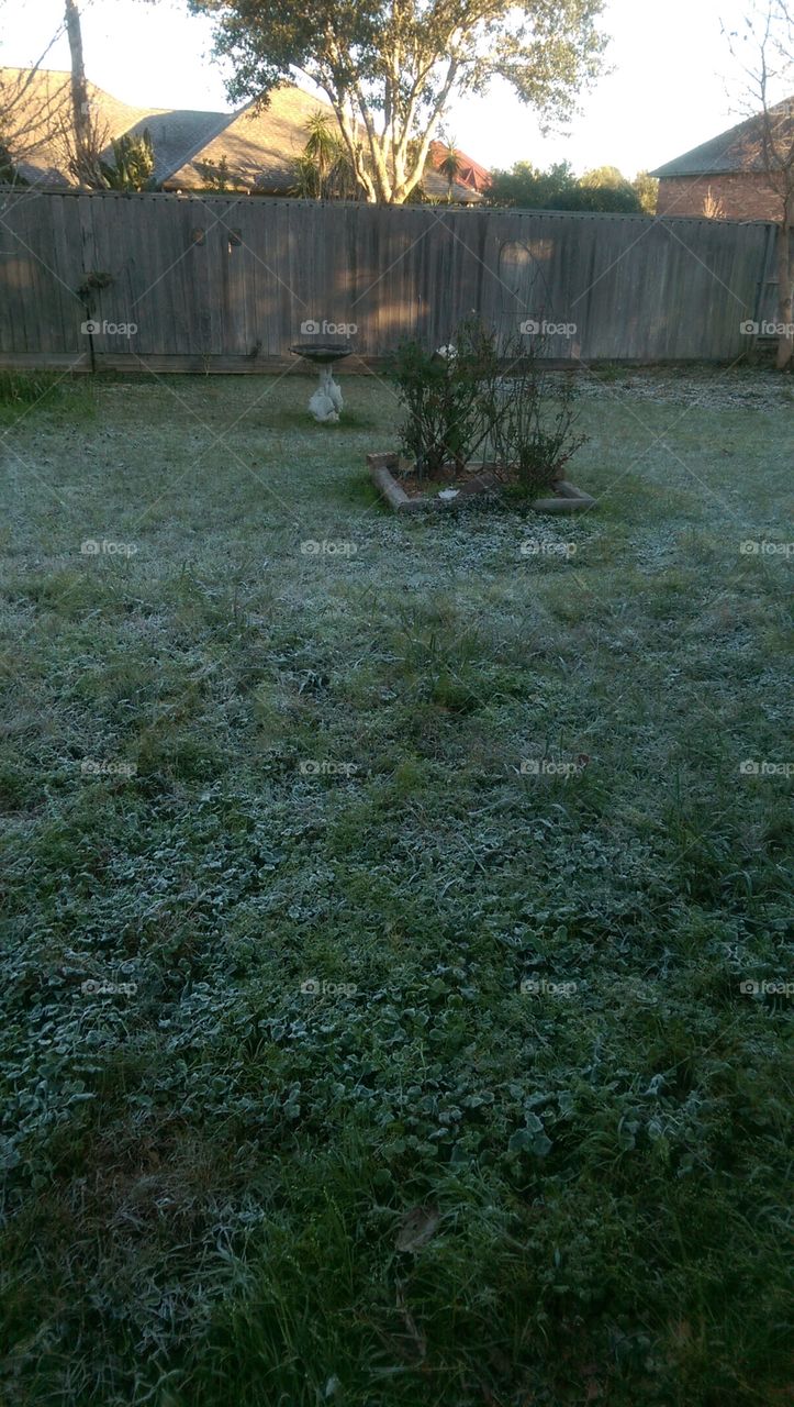 No Person, Landscape, Water, Grass, Nature