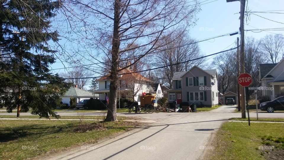 Amish on garbage day