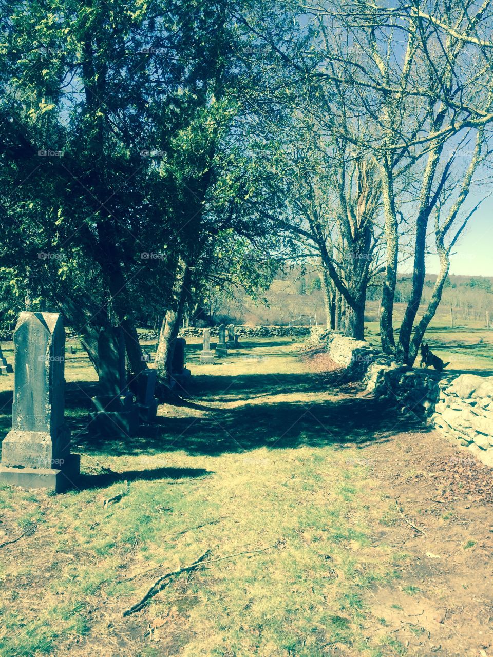 Old 1700's cemetery with wall and old road
New York 