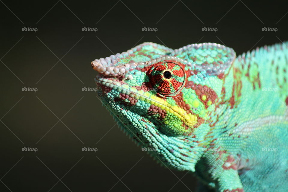 Glorious mother nature