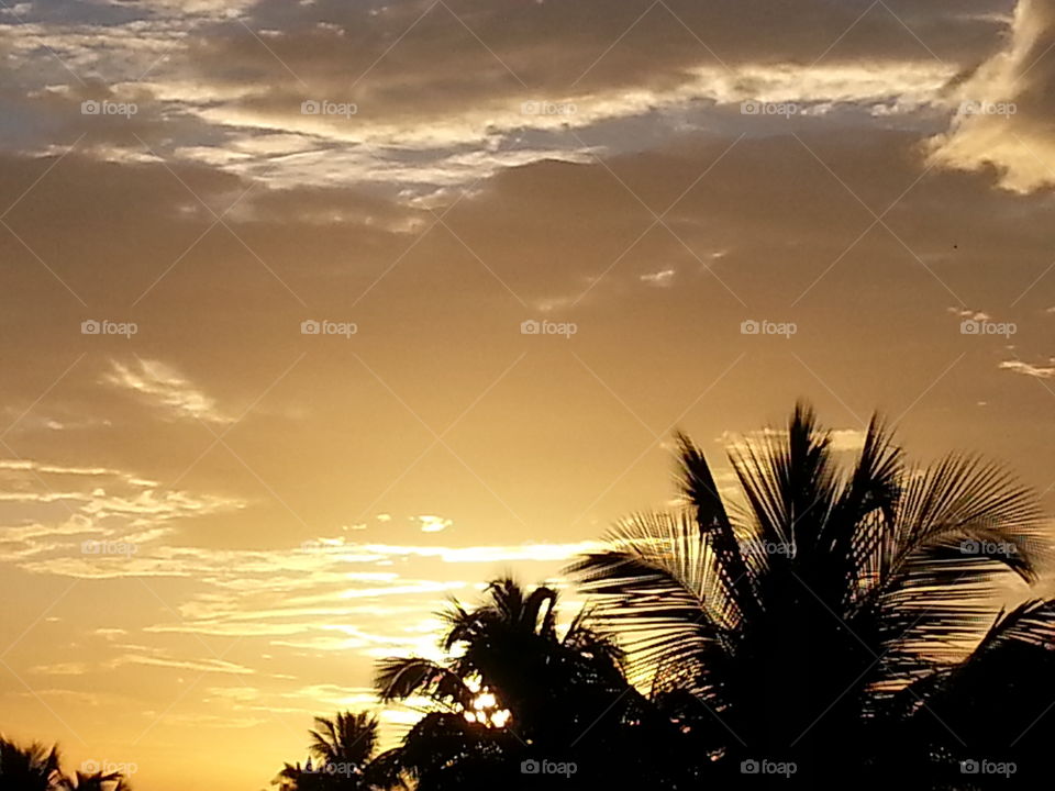 sun's sunset. sunset in my cam