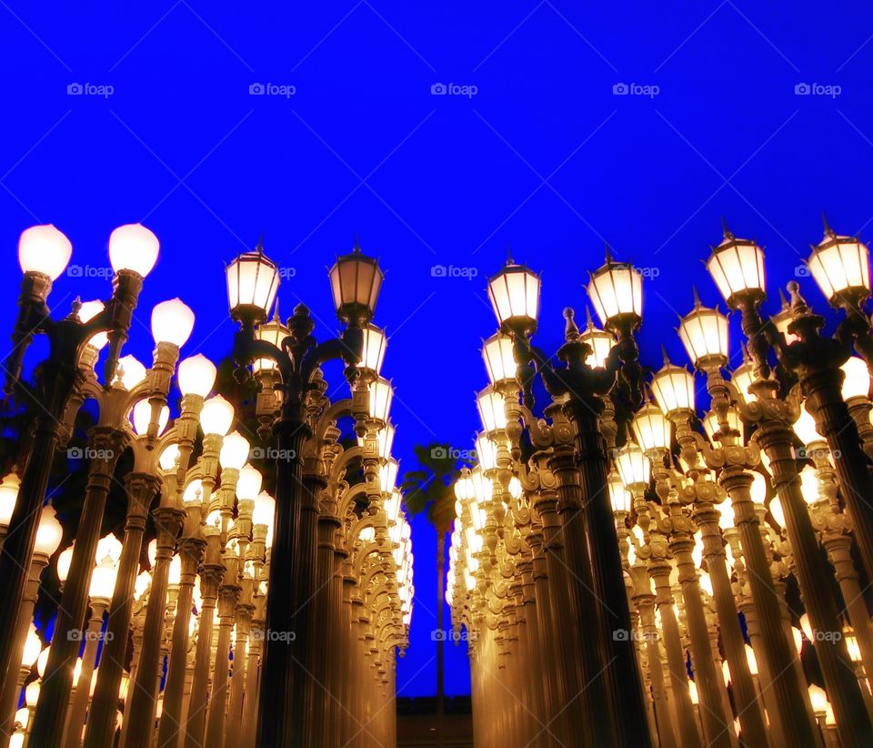 Lacma lights 