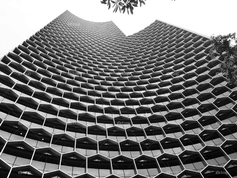 Monochrome from world