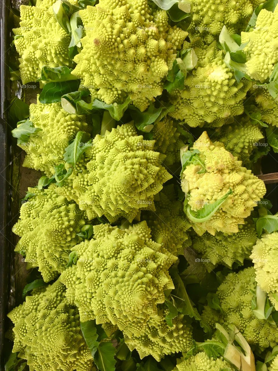 Cauliflower 