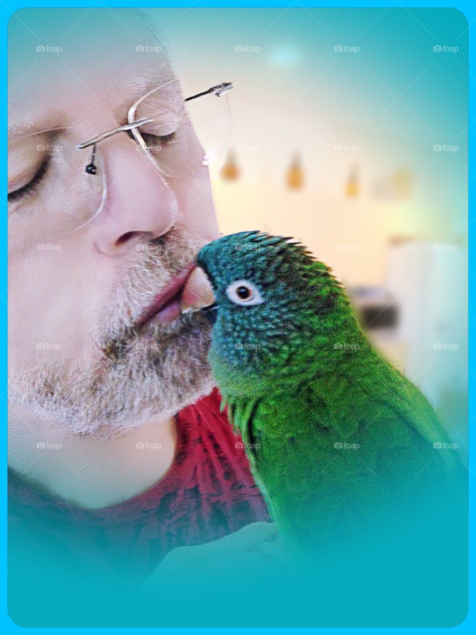 Loved parrot companion