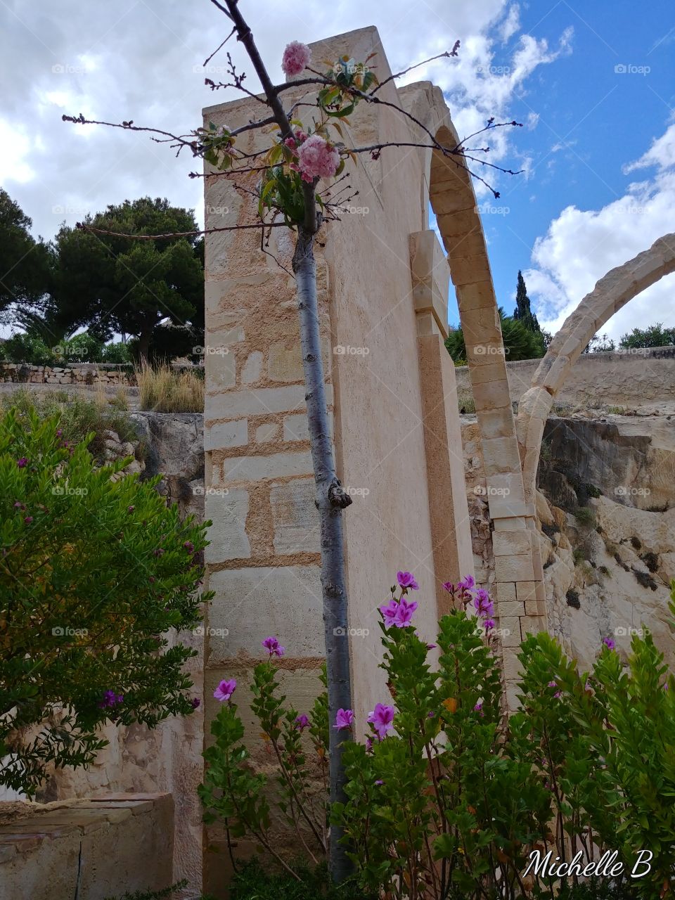 Beauty among the ruins