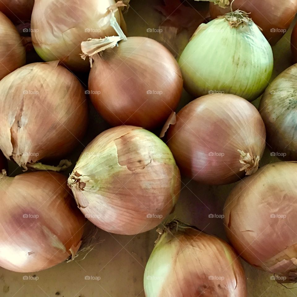 Group of Onions