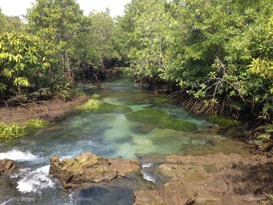 Natural stream