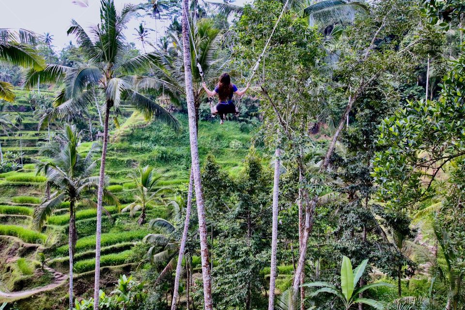Swinging through the Jungle 🌿