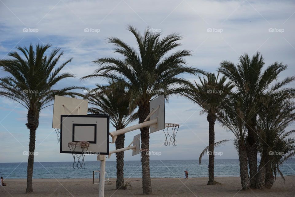 Basket#beach#palms