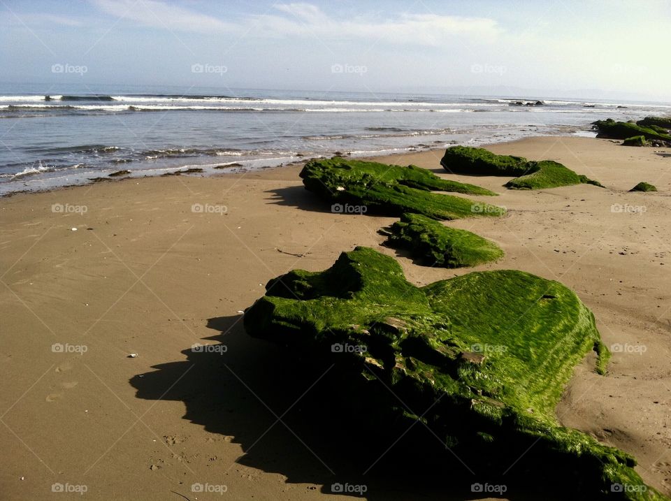 Huge moss covered rock on the beach of Santa Barbara California 