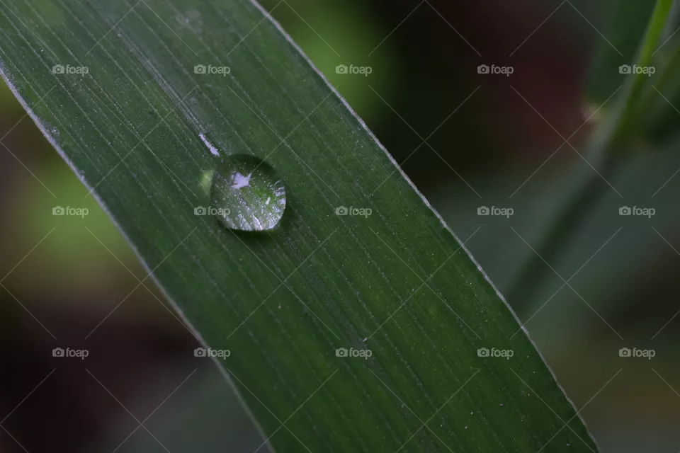 water drop