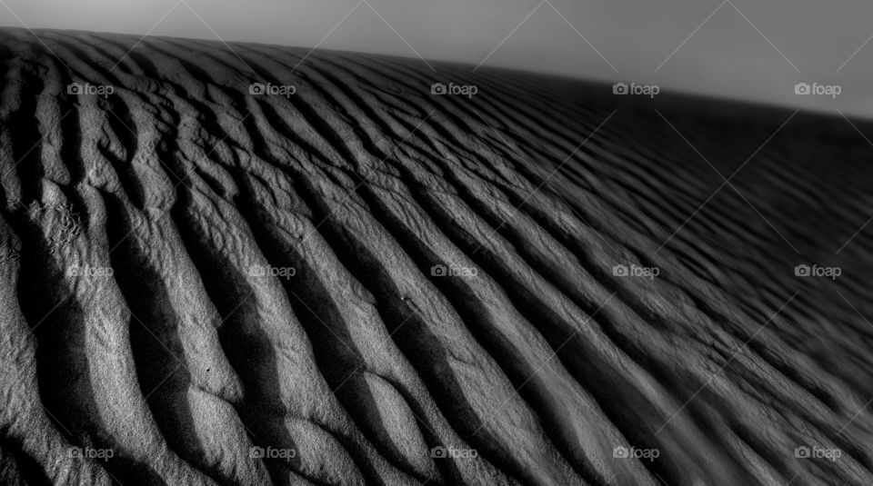 Dunes - Abu Dhabi