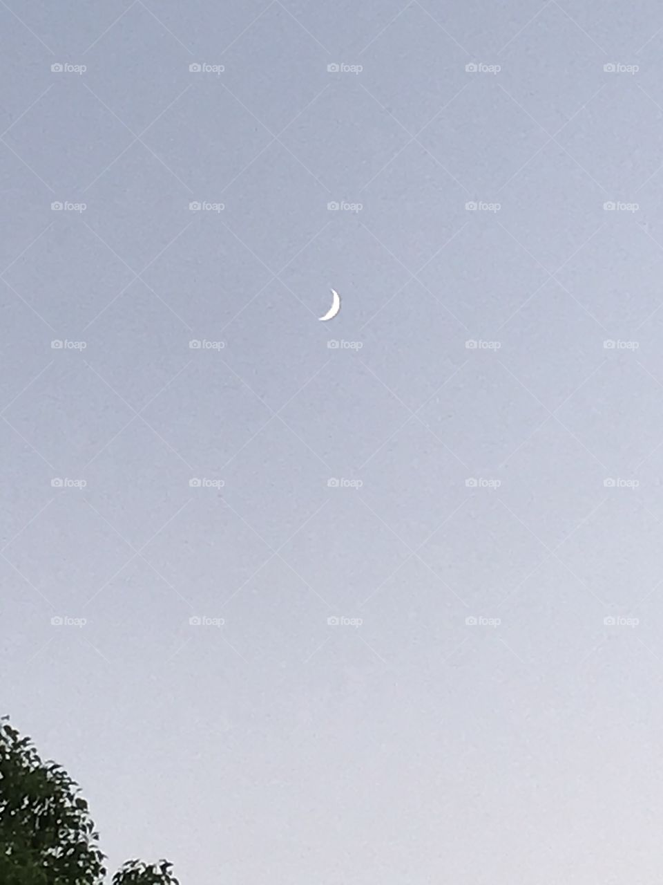 A crescent far above in the evening sky. Definitely, it is an astonishing sight at the park.
