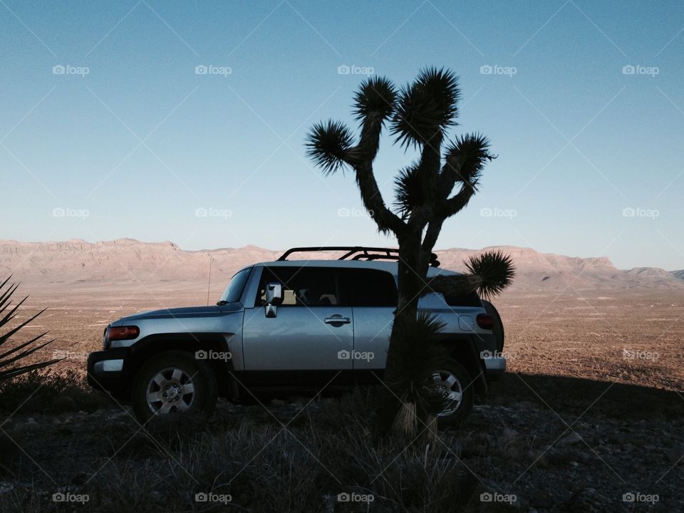 FJ Cruiser. Desert Drive