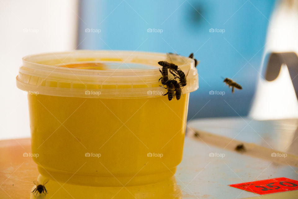 bee on a jar of honey