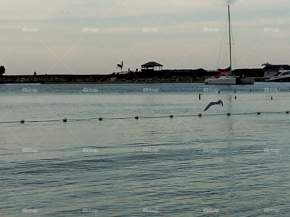 Water, Sea, Ocean, Beach, Seashore