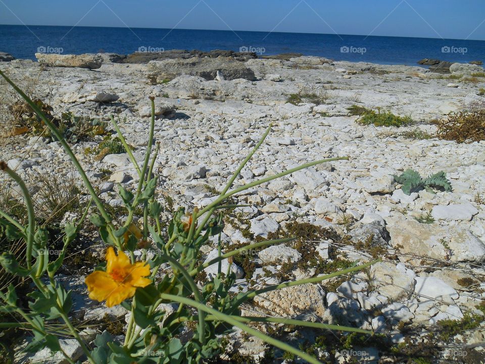 Nature, No Person, Summer, Landscape, Water