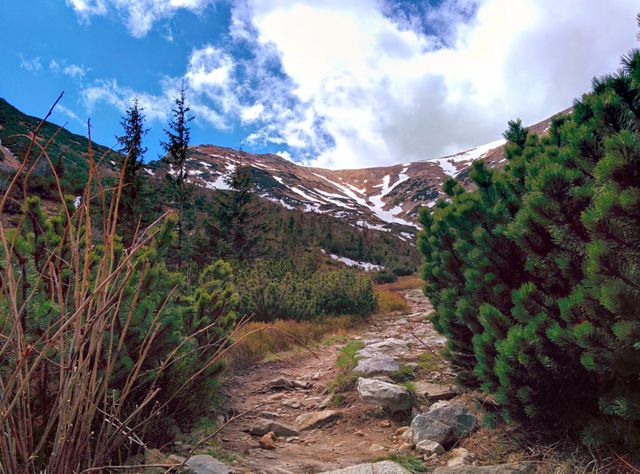 Path