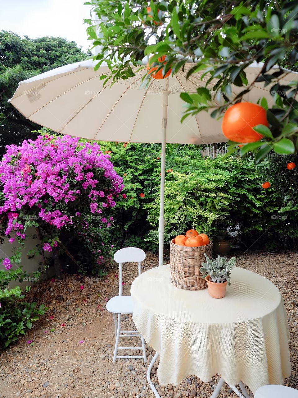 orange farm coffee shop