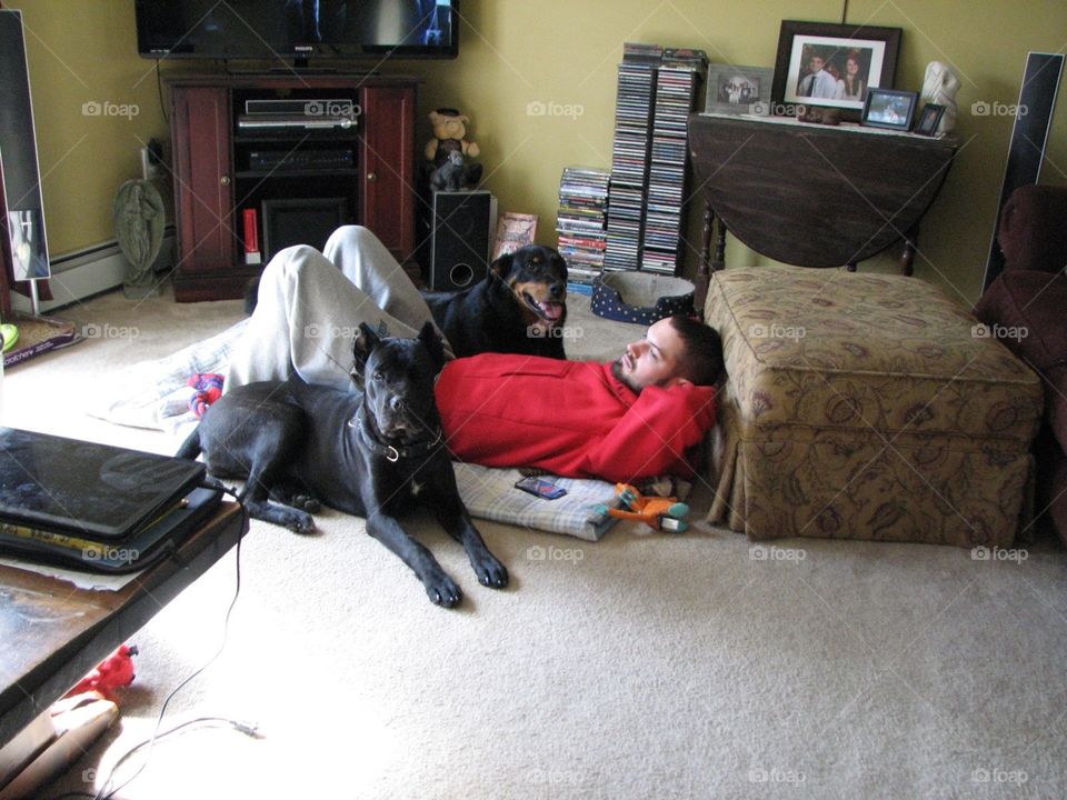 Guy and his dogs, relaxing 