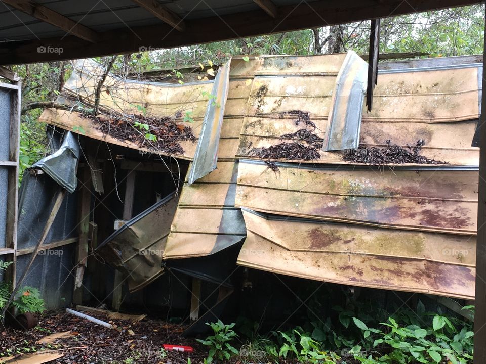 Abandoned Jungleland Zoo