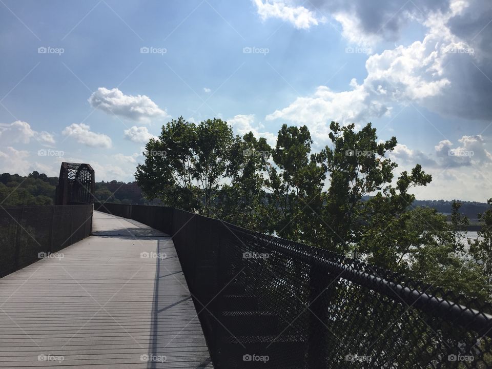 Landscape, Bridge, Tree, Sky, River