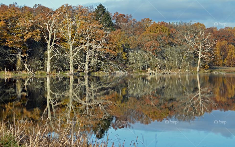 Reflections Kvalmsö. Ronneby Sweden in fall